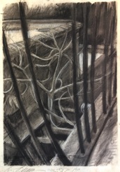 Railing and rooftop
charcoal